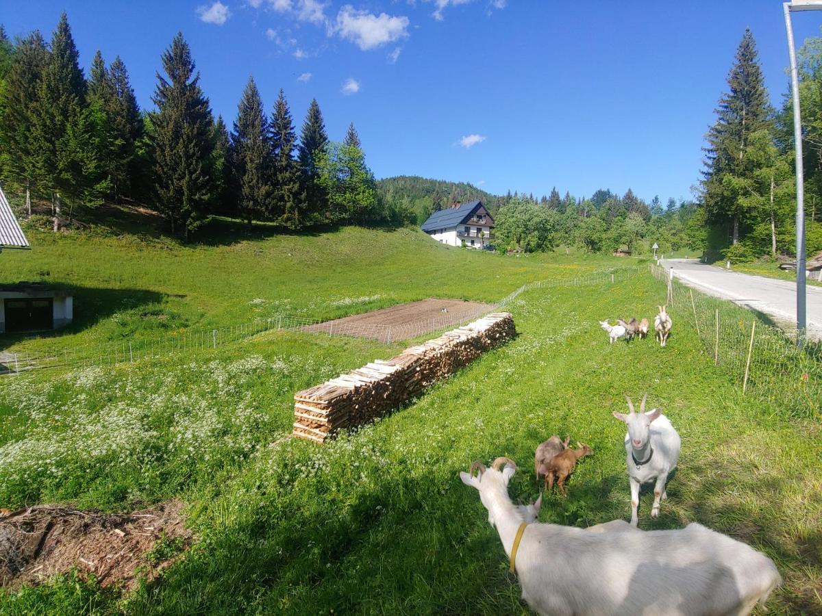 Tourist Farm Pr' Maretc Apartment Bohinjska Bistrica Luaran gambar