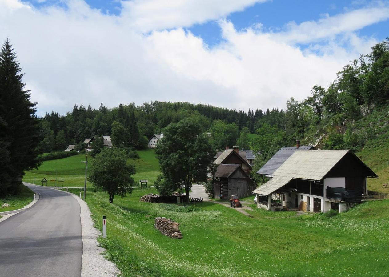 Tourist Farm Pr' Maretc Apartment Bohinjska Bistrica Luaran gambar