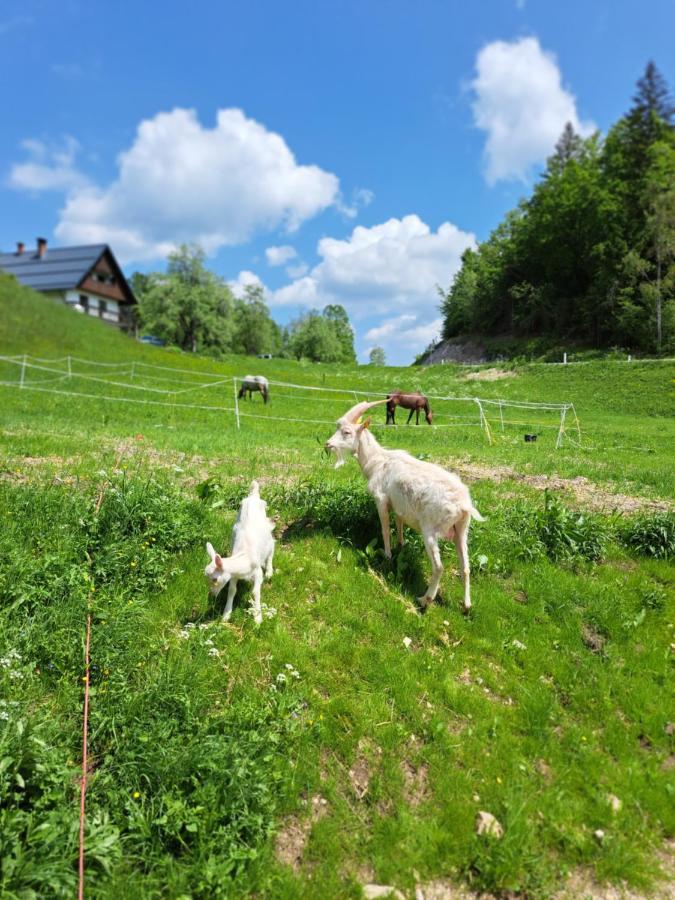 Tourist Farm Pr' Maretc Apartment Bohinjska Bistrica Luaran gambar